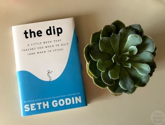 Read more about the article THE DIP: The Little Book That Teaches You When To Quit